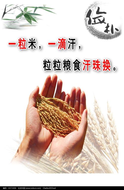 怎么购买弗吉尼亚州结婚证